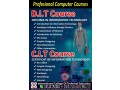 certificate-in-information-technology-course-in-gujrat-small-0