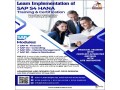 learn-implementation-of-sap-s4-hana-training-consulting-3d-educators-small-0