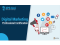 online-seo-and-digital-marketing-course-by-ipsuni-small-1