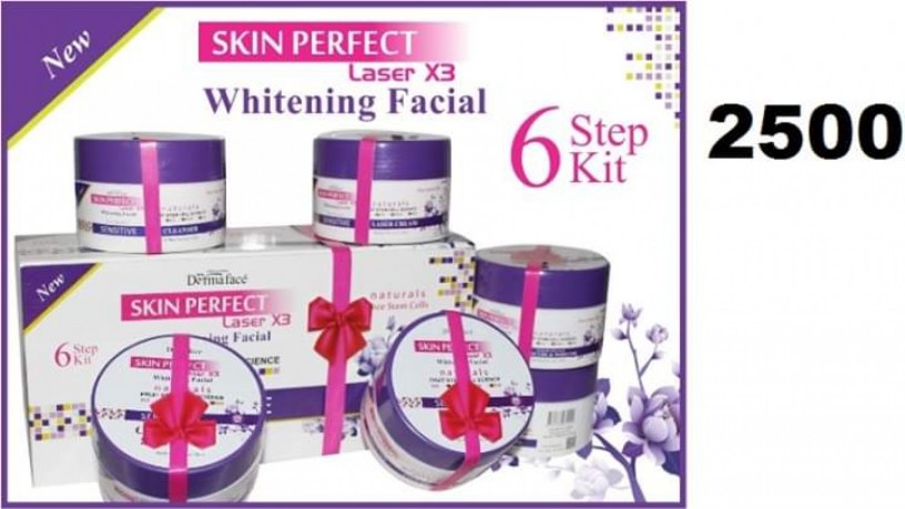 facial-salon-kit-big-1