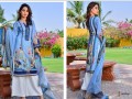 dezire-digital-designer-2-piece-by-salim-maulana-11-beautiful-designs-in-single-color-digital-printed-kameez-dupatta-small-4